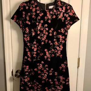 Calvin Klein Black Velvet Short Sleeve Dress